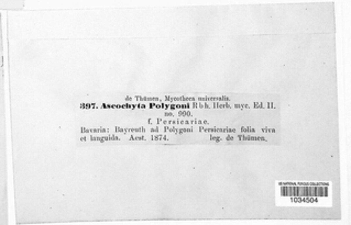 Ascochyta image